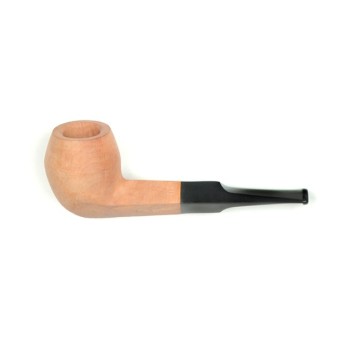 BOCCHINO SAVINELLI 504