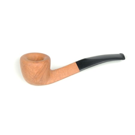 BOCCHINO SAVINELLI 305